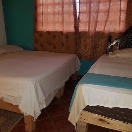 Hostal Enjoy Vallarta 19 プエルトバラータ エクステリア 写真