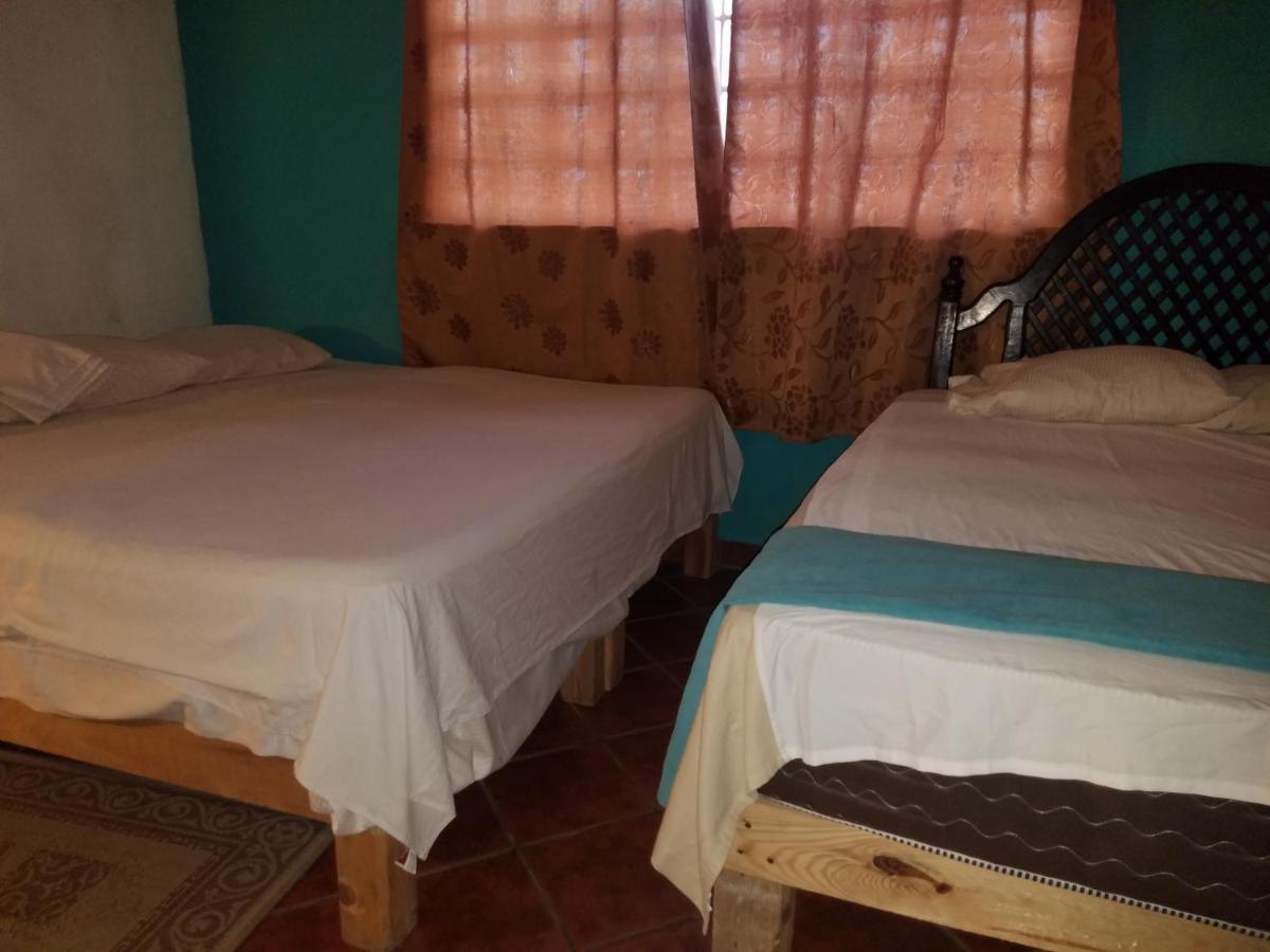 Hostal Enjoy Vallarta 19 プエルトバラータ エクステリア 写真