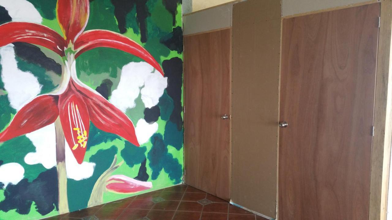 Hostal Enjoy Vallarta 19 プエルトバラータ エクステリア 写真