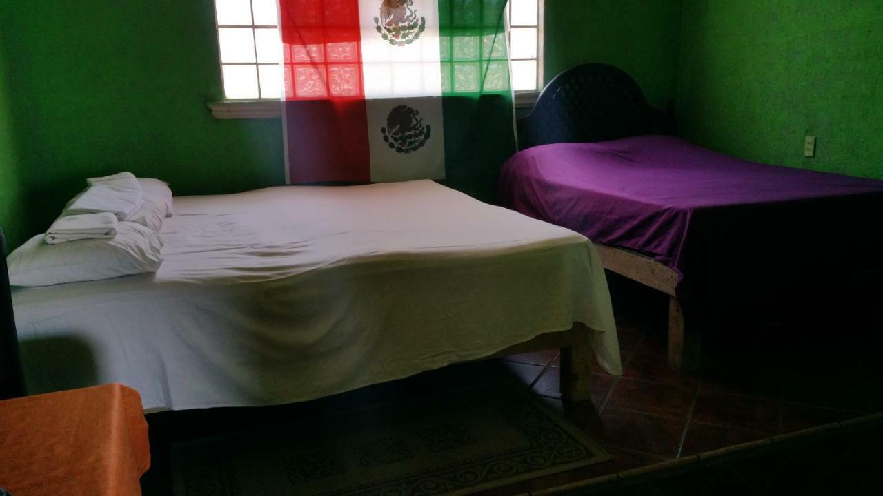 Hostal Enjoy Vallarta 19 プエルトバラータ エクステリア 写真