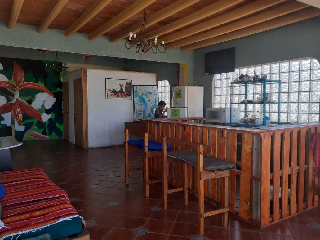 Hostal Enjoy Vallarta 19 プエルトバラータ エクステリア 写真